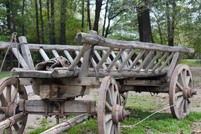 old cart in the park close up