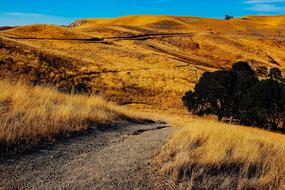 Beautiful landscape of the golden fields at blue sky background, in California, USA