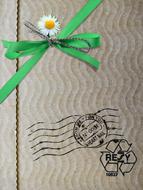 Cardboard flower Board Paper