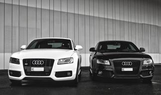 Audi Auto black white