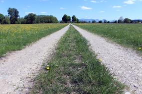 Grass Road