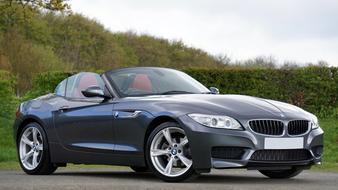 Beautiful, shiny, grey BMW sports car on asphalt among the colorful plants