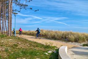 bicycle riders on road at nature