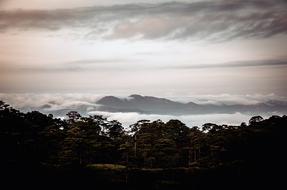 Mountain Sky Cloud dark forest