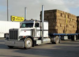 Trailer on the asphalt, in light, in USA