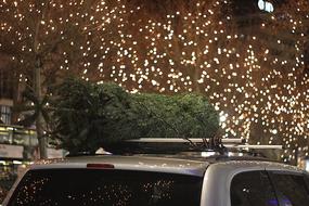 Christmas Tree Car stars