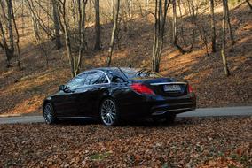 Auto Benz Luxury forest