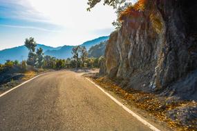 Nature Travel asphalt Road