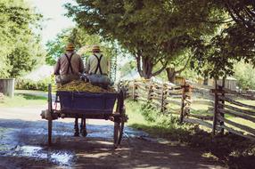 people on vehicle on Dirt Road in Countryside