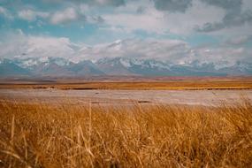 Road grass dry Landscape