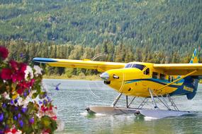 yellow bi plan on the water on a sunny day