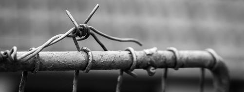 Black and white photo of a barbed wire fencing