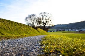 spring road in the meadow close up