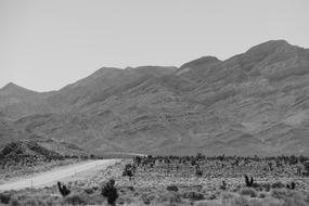 Desert Road Black and white, usa, nevada