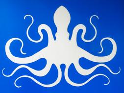 Octopus Sea Creature Street Art drawing
