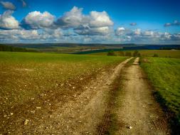 Beautiful and colorful landscape of the path among the fields, in France, under the blue sky with clouds