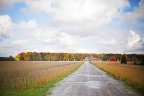 Road Street landscape