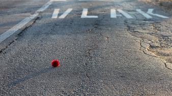 Close-up of the road with the little, red rose and white "VLAK" sign