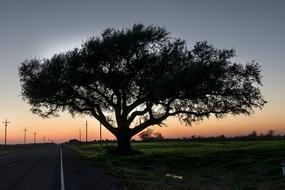 Texas Road at Sunset