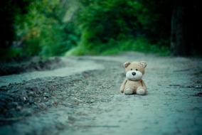 Toy Teddy Bear at Road