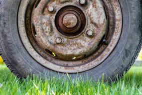 Close-up of the old, rusty wheel among the green grass