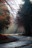 Autumn Morning Sunbeam landscape