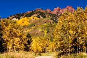 Colorado Autumn Fall
