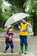 Boys with umbrella, on the street among the green plants