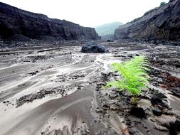 landscape of Element Ravine Fault