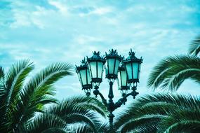 Street Lamp and Palms