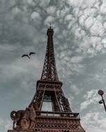 bird at sky in view of eiffel Tower, france, paris