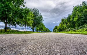 Asphalt Road trees Landscape