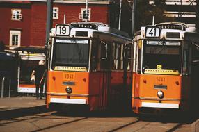 trams in the city traffic of budapest