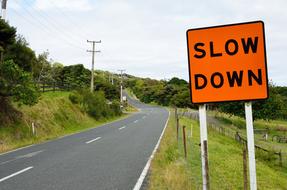 Orange and black "Slow Down" sign on the colorful and beautiful side of the road with plants