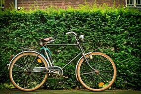 Old, vintage bike near the beautiful, green plants and building