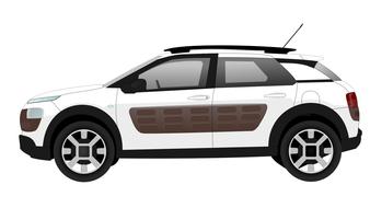 cactus car citroen as an illustration