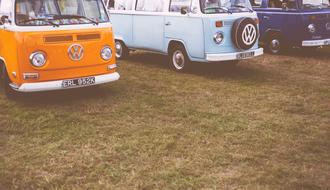 Buses Colour Field