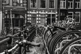 Transportation System bikes street