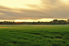 Summer Sunset Sweden