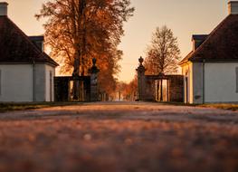 Golden Hour Light in Park at autumn