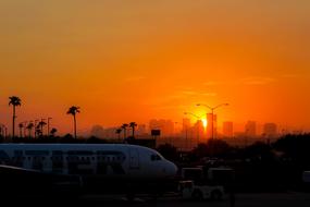 Airplane, near the palm trees, at background with the silhouettes of the buildings of the city, at beautiful, orange sunset