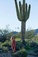 Desert Cactus Road