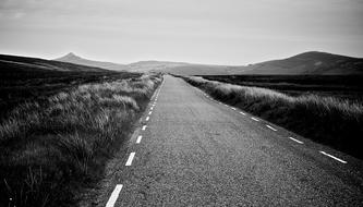 black and white photo of the road near the meadows