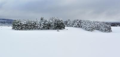 Mountain Snowy trees at Winter