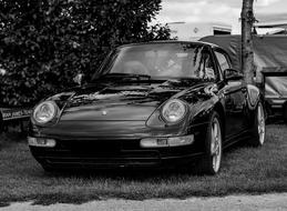 Black and white photo of the beautiful, shiny Porsche 911 car near the plants
