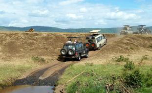 Watching Jeep cars in Safari Wildlife