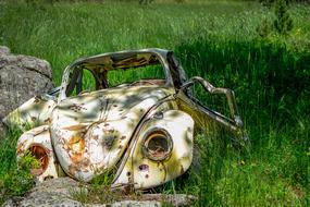 White, rusty "Beetle" car among the plants and rocks, in light and shadows