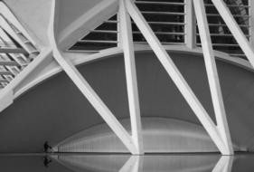 Valencia Calatrava Architecture