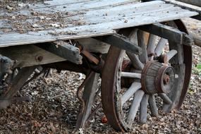 wooden Rustic Wagon at Autumn