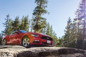 Red Car at Natural forest